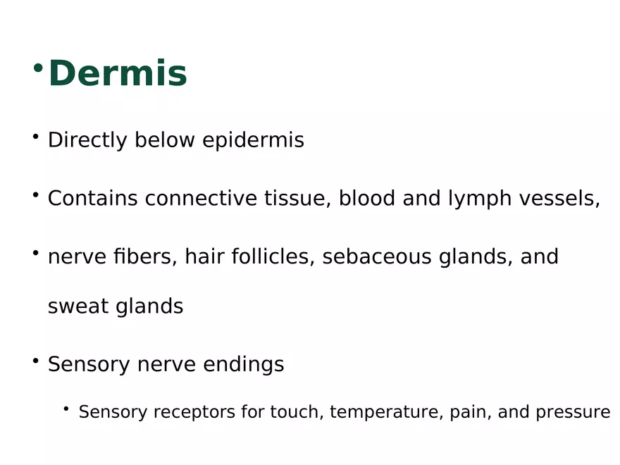 The Integumentary System Lecture (Skin) - Page 4