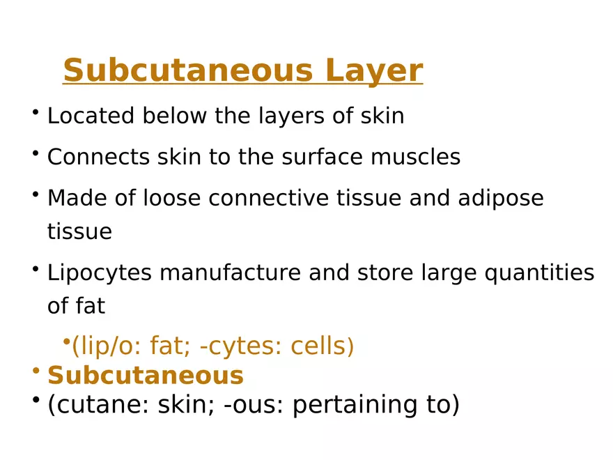 The Integumentary System Lecture (Skin) - Page 5