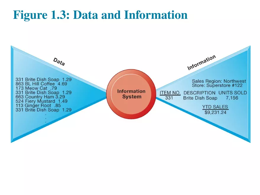 Information Systems in Business Today Lecture 2 - Page 11