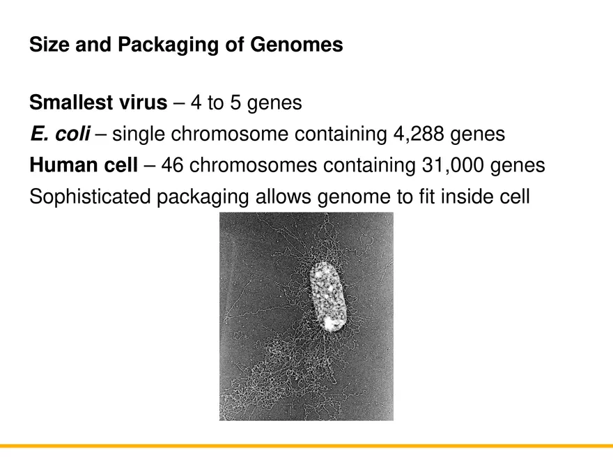 An Introduction to Microbial Genetics Lecture Part 1 - Page 8