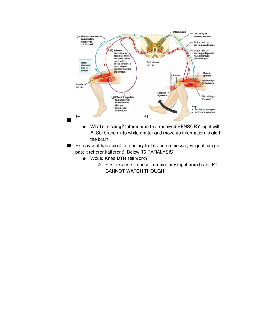 Introduction to Pathophysiology and Cellular Basis of Disease Part 4 - Page 7