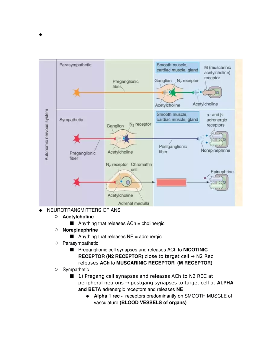 Introduction to Pathophysiology and Cellular Basis of Disease Part 4 - Page 10