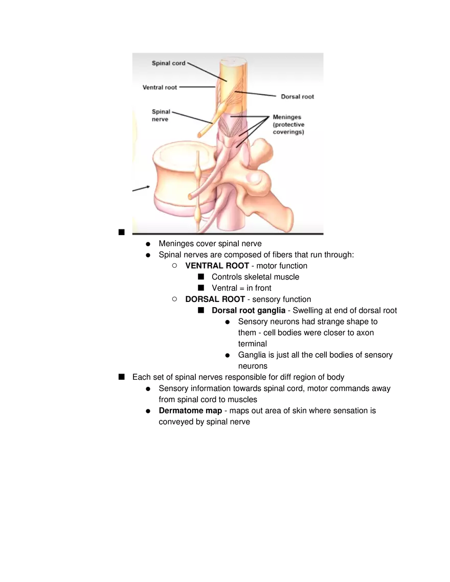 Introduction to Pathophysiology and Cellular Basis of Disease Part 4 - Page 2