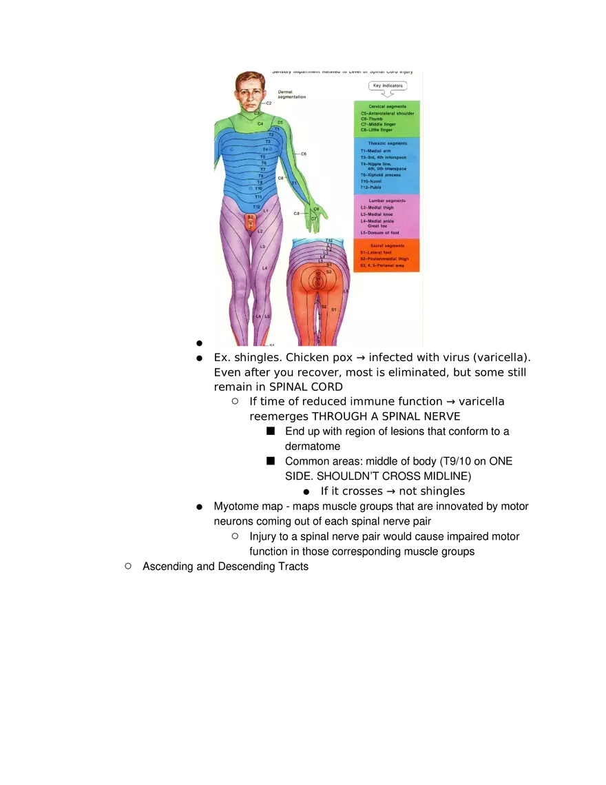 Introduction to Pathophysiology and Cellular Basis of Disease Part 4 - Page 4