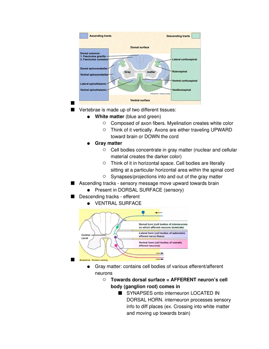 Introduction to Pathophysiology and Cellular Basis of Disease Part 4 - Page 5