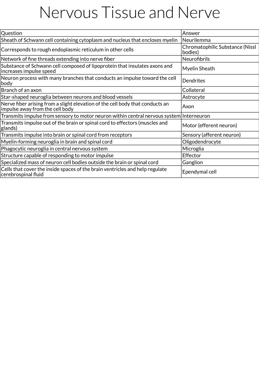 Structure and Function of Nervous Tissue - Page 1