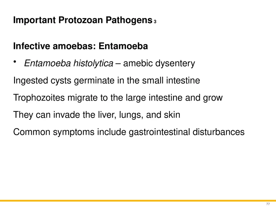A Survey of Eukaryotic Cells and Microorganisms Part 8 - Page 7