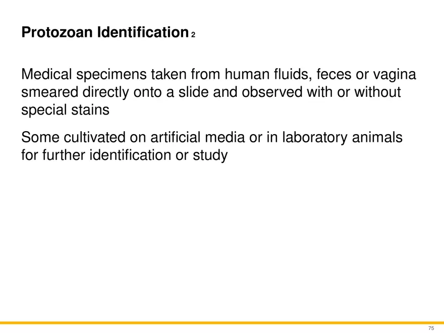A Survey of Eukaryotic Cells and Microorganisms Part 8 - Page 2