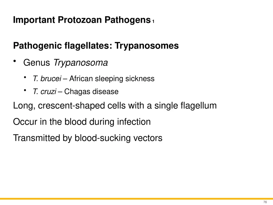 A Survey of Eukaryotic Cells and Microorganisms Part 8 - Page 6