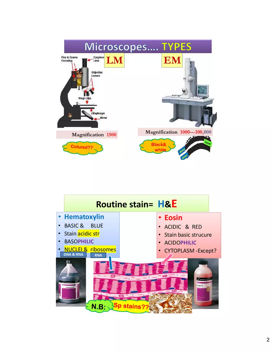 Cytology 4 Pages - Page 2