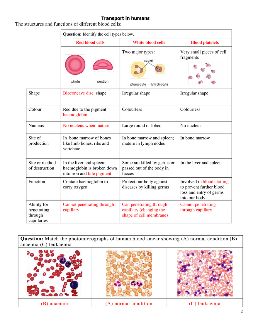 Need for Transport System - Page 2