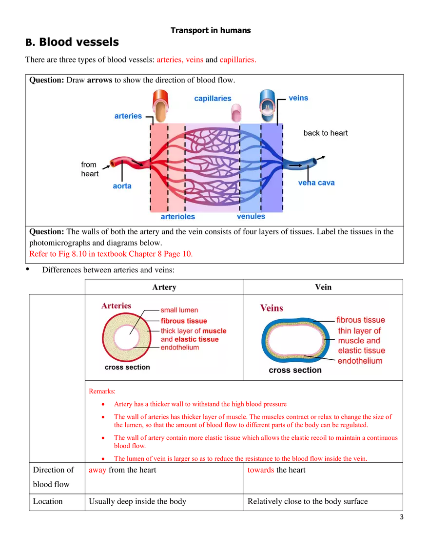 Need for Transport System - Page 3