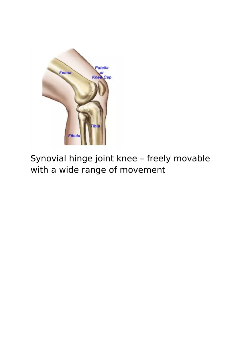 Type of Joints - Page 4