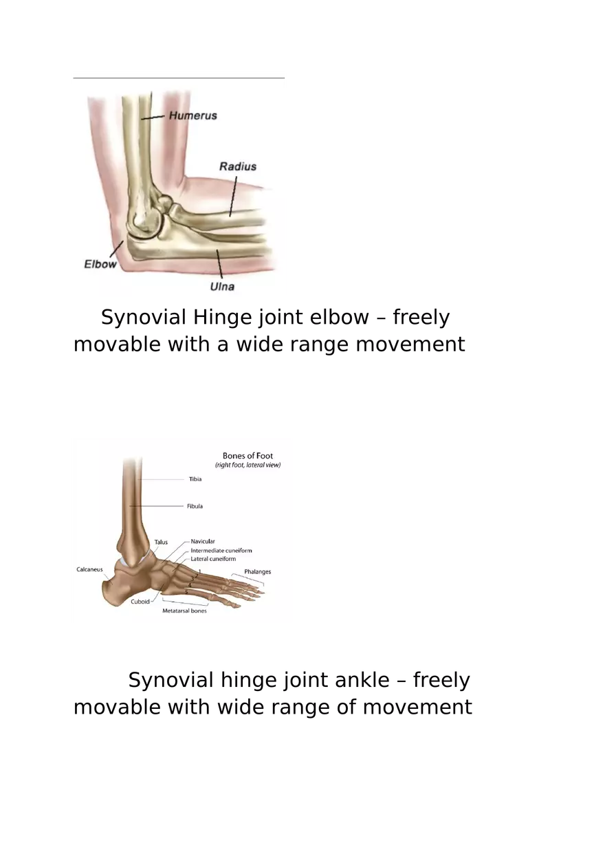 Type of Joints - Page 5