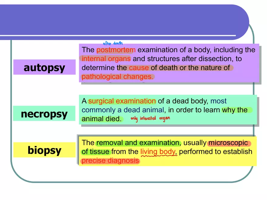 Pathological Terms - Page 2