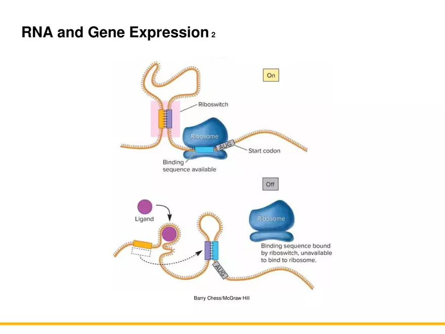 An Introduction to Microbial Genetics Lecture Part 8 - Page 10
