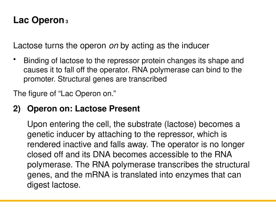 An Introduction to Microbial Genetics Lecture Part 8 - Page 3