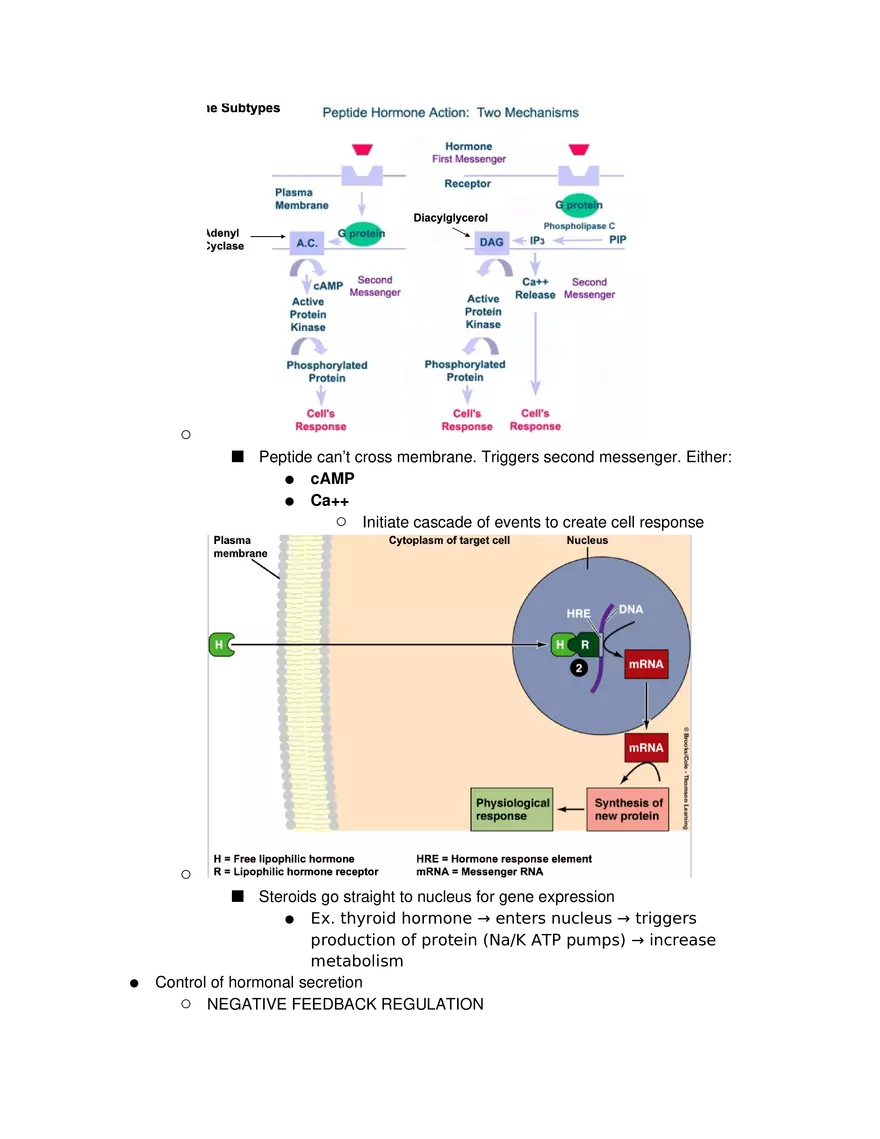 Introduction to Pathophysiology and Cellular Basis of Disease Part 5 - Page 11