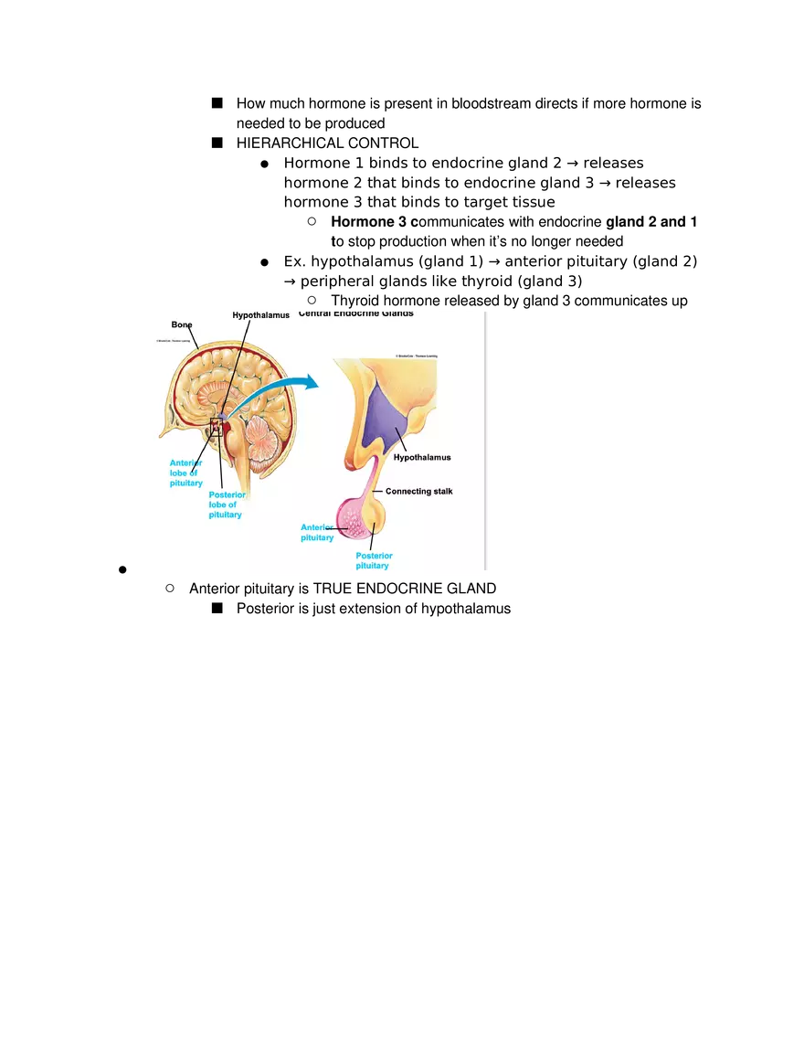 Introduction to Pathophysiology and Cellular Basis of Disease Part 5 - Page 12
