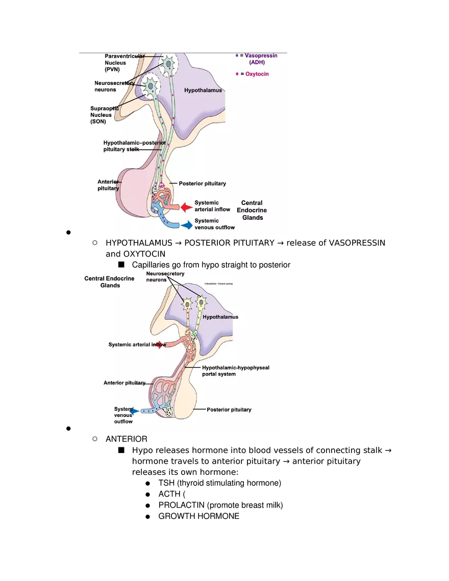 Introduction to Pathophysiology and Cellular Basis of Disease Part 5 - Page 13