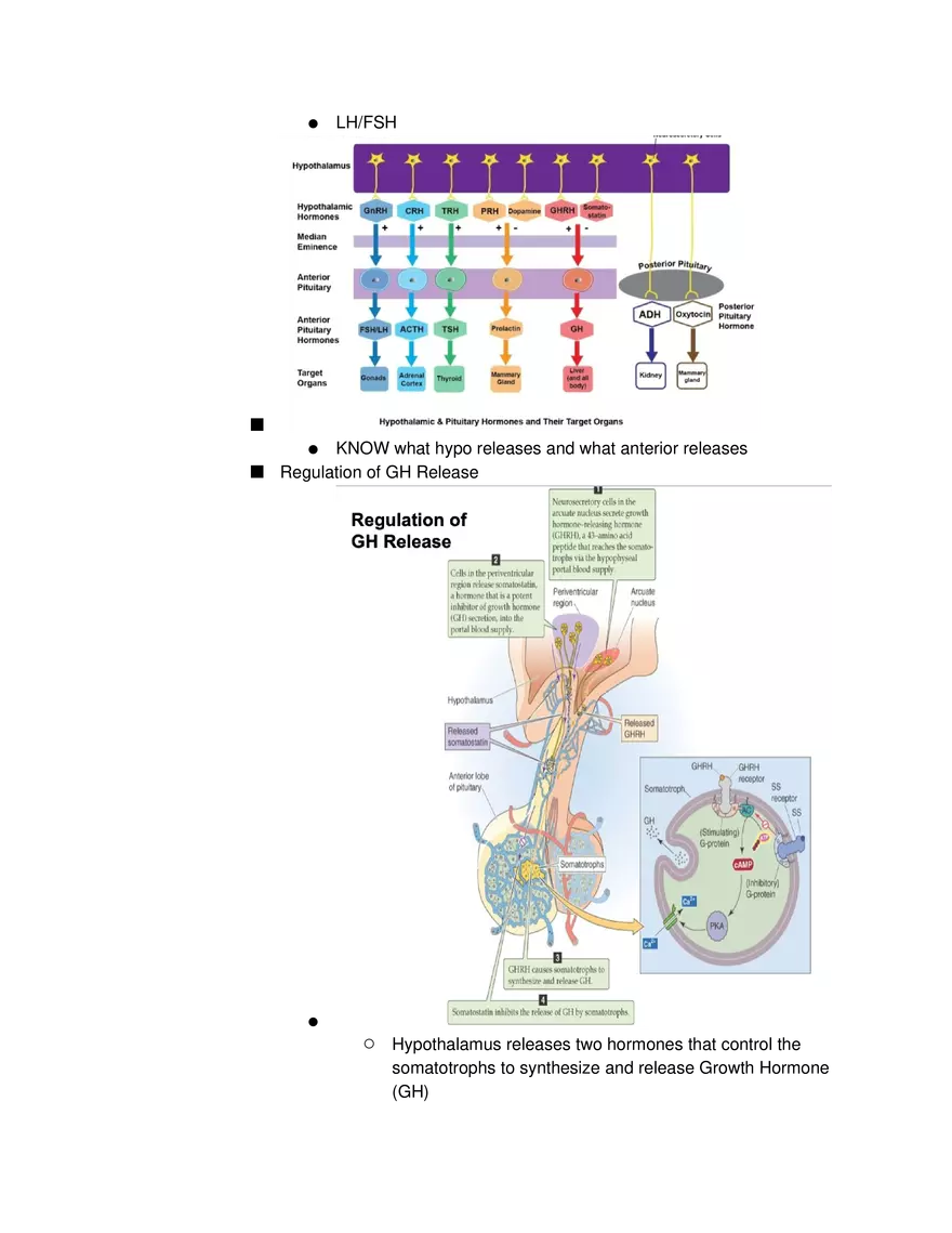 Introduction to Pathophysiology and Cellular Basis of Disease Part 5 - Page 14