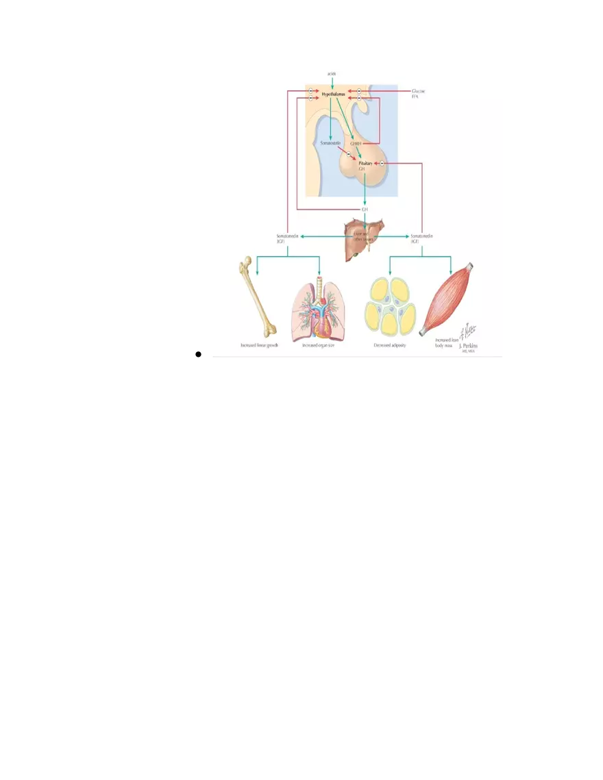 Introduction to Pathophysiology and Cellular Basis of Disease Part 5 - Page 3