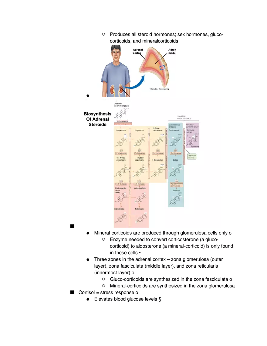 Introduction to Pathophysiology and Cellular Basis of Disease Part 5 - Page 6