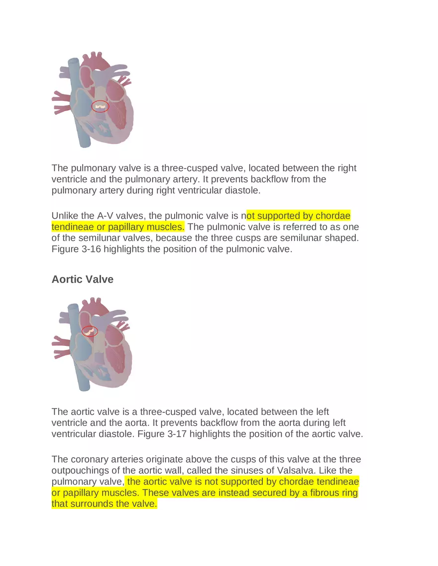 Intro to Cardiology Module 1 Guide Part 4 - Page 7