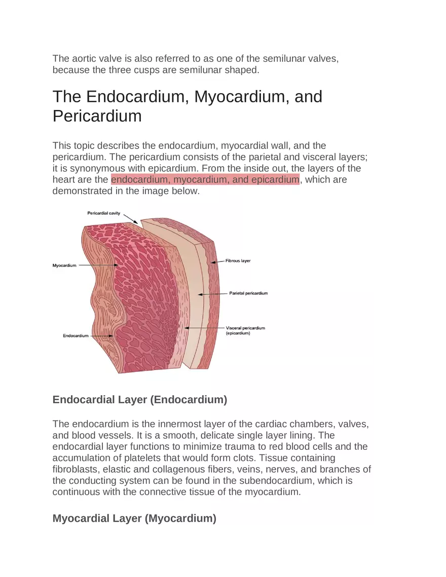 Intro to Cardiology Module 1 Guide Part 4 - Page 8