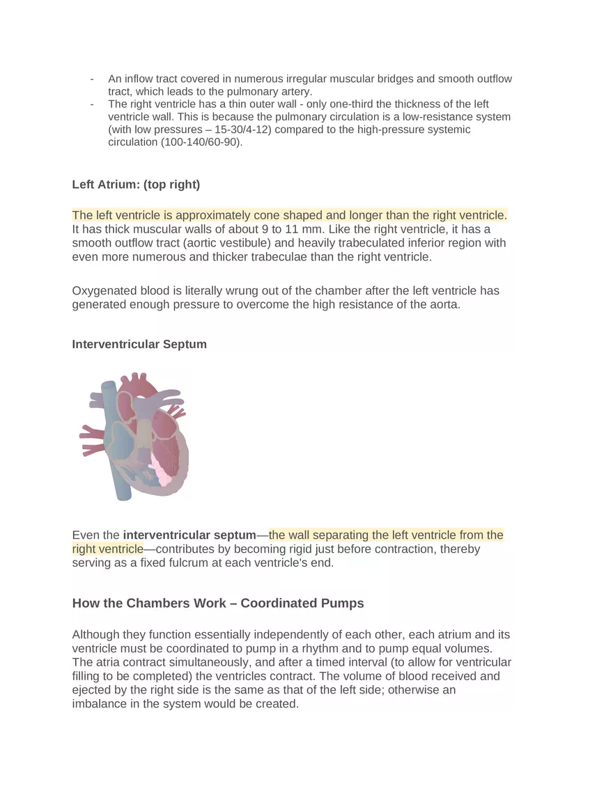 Intro to Cardiology Module 1 Guide Part 4 - Page 2