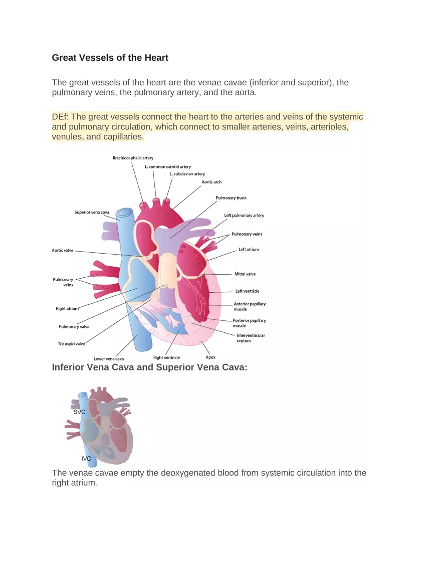 Intro to Cardiology Module 1 Guide Part 4 - Page 3