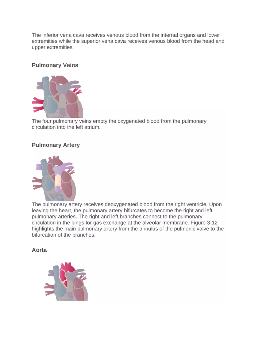 Intro to Cardiology Module 1 Guide Part 4 - Page 4