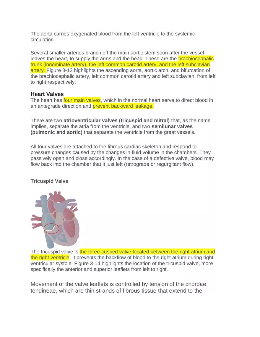 Intro to Cardiology Module 1 Guide Part 4 - Page 5