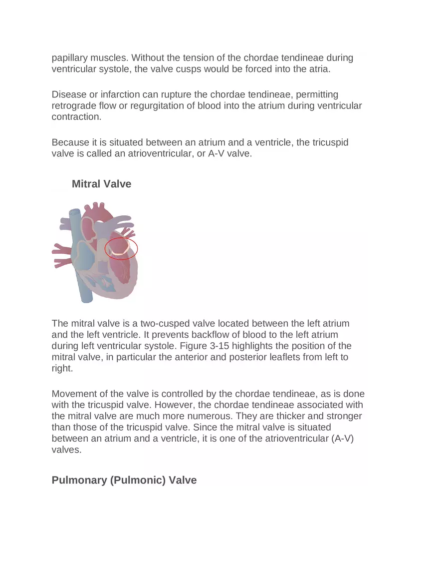 Intro to Cardiology Module 1 Guide Part 4 - Page 6