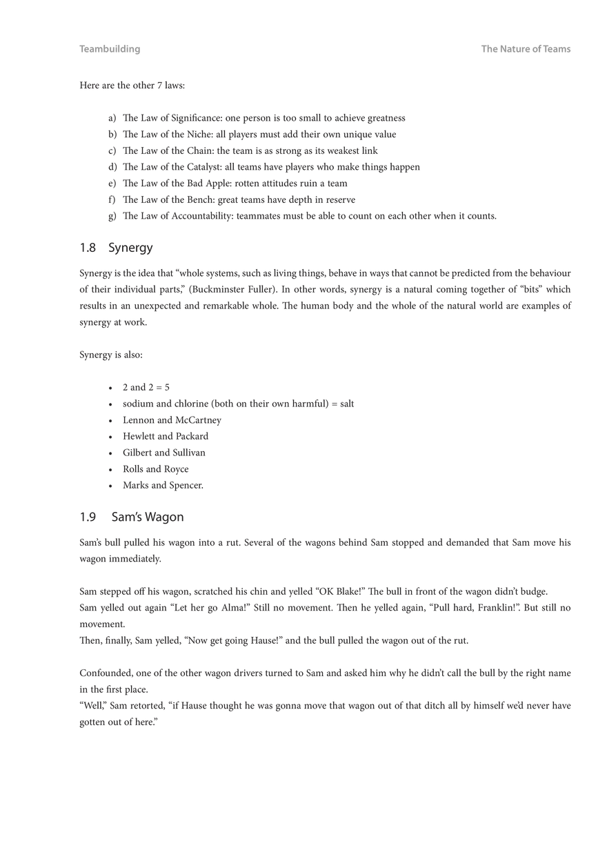 Introduction to Teambuilding 1 - Page 5