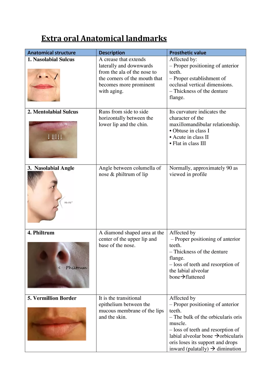Extra Oral Anatomical Landmarks - Page 1