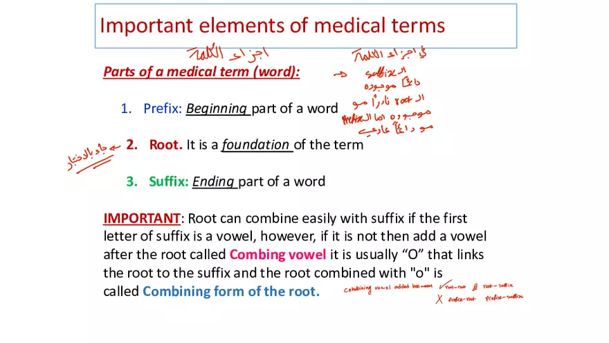 Why You Need to Study the Medical Language - Page 2