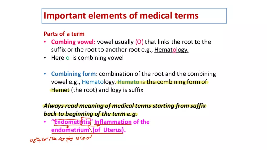 Why You Need to Study the Medical Language - Page 4