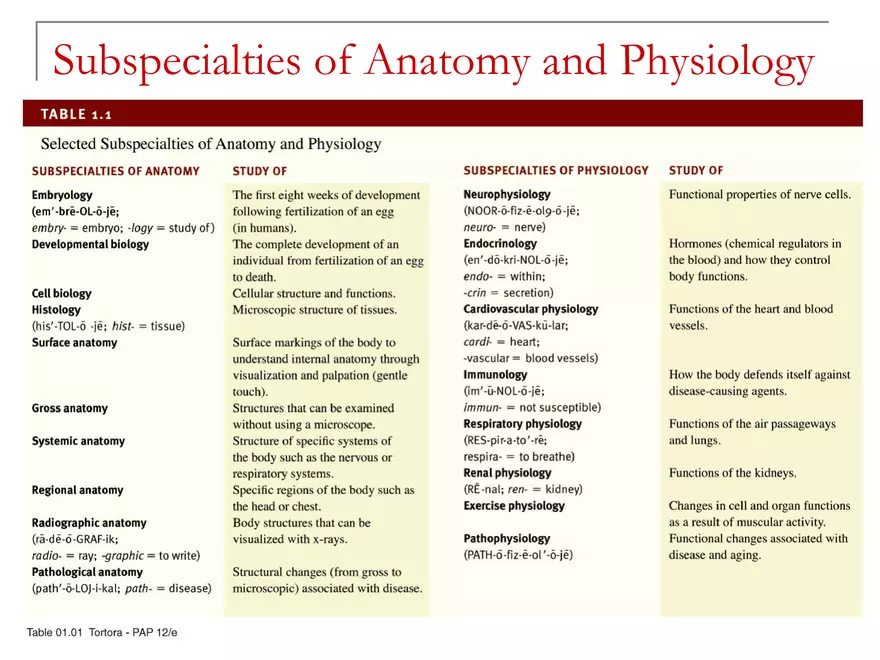 Levels of Structural Organization Lecture Note - Page 3