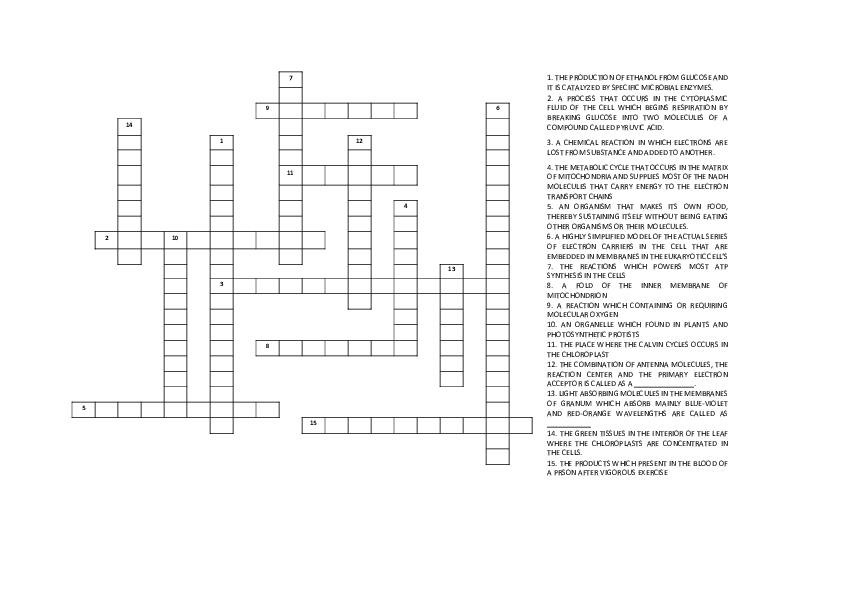 Cellular Respiration and Biochemical Processes - Page 1