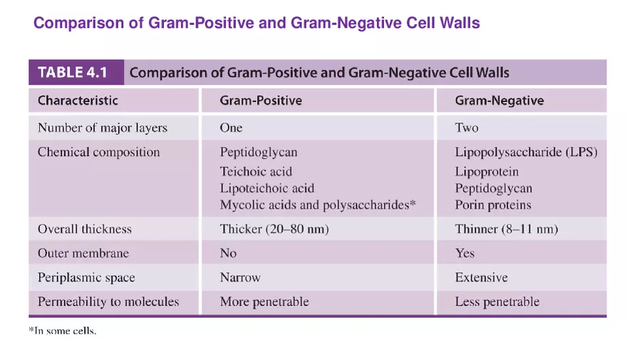 Classification of Microorganisms Lecture 3 - Page 8
