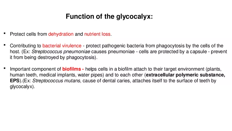 Classification of Microorganisms Lecture 3 - Page 1