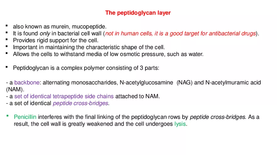 Classification of Microorganisms Lecture 3 - Page 3