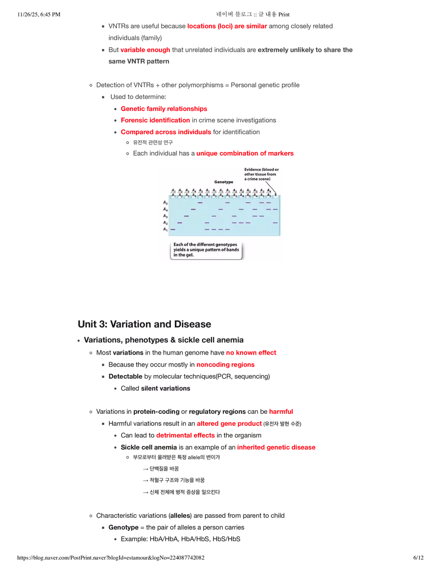 Biology1A03: Theme 5 Module 1 - Page 8