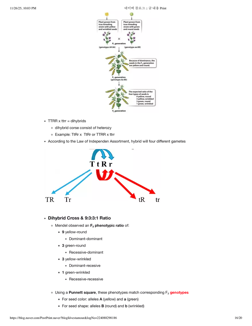 Biology1A03: Theme 5 Module 2 - Page 8