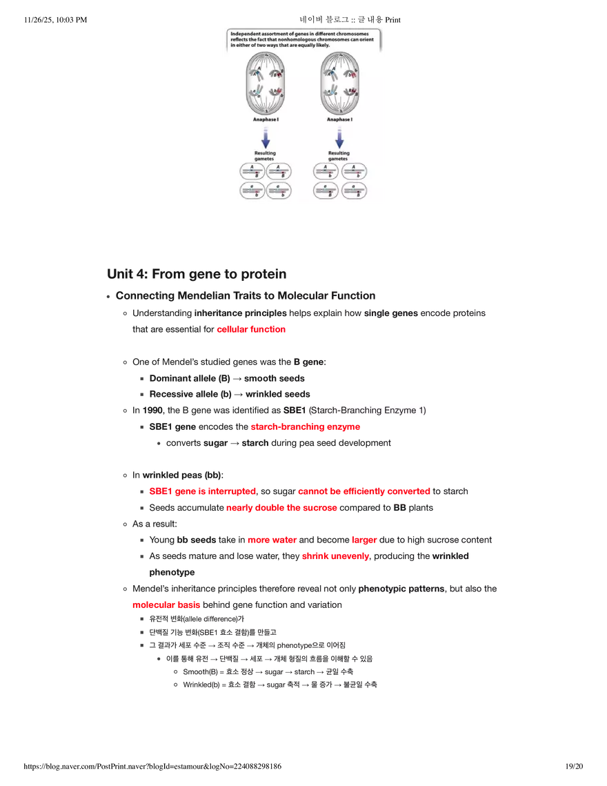 Biology1A03: Theme 5 Module 2 - Page 11