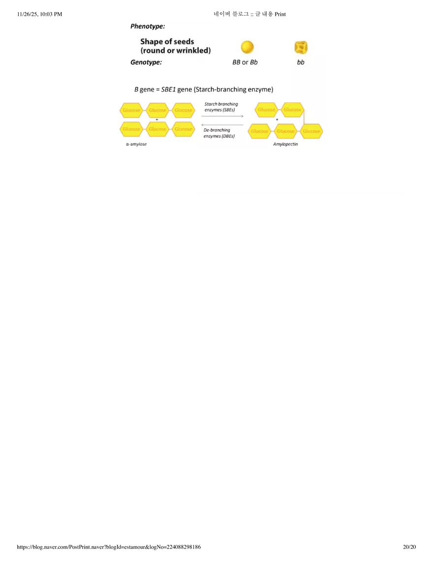 Biology1A03: Theme 5 Module 2 - Page 12