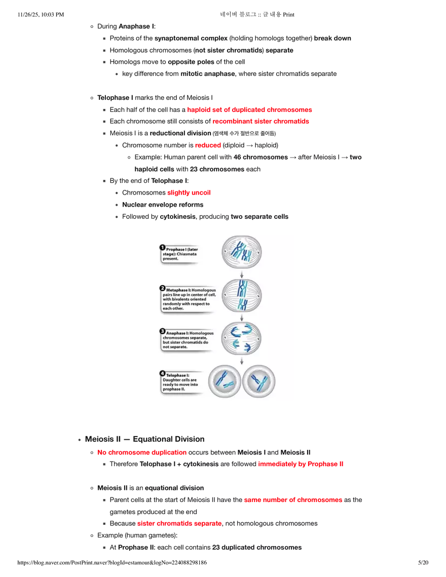 Biology1A03: Theme 5 Module 2 - Page 15