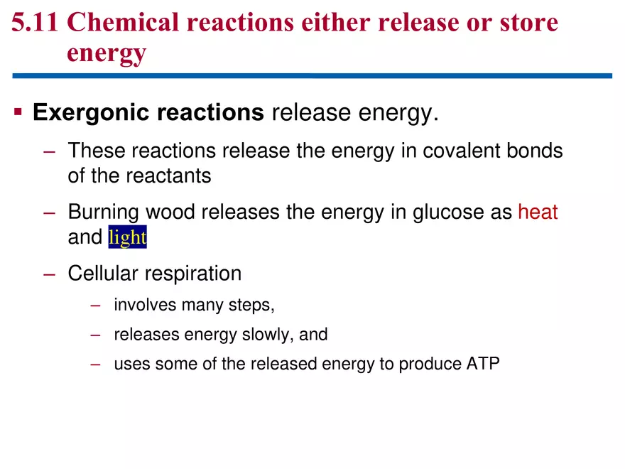 How Cells Harvest Chemical Energy Lecture - Page 4