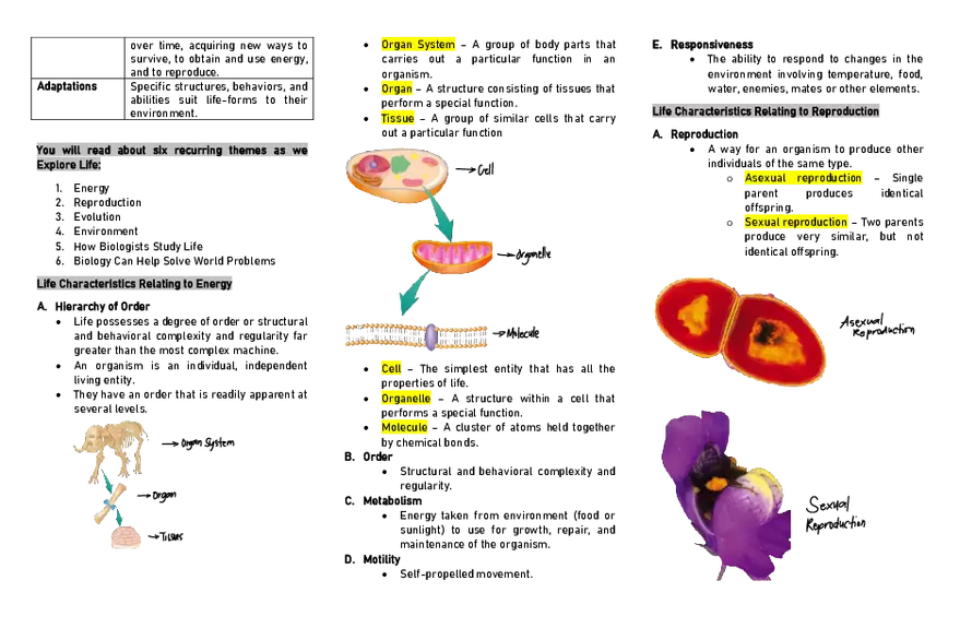 Zoology - What Is Life - Page 2